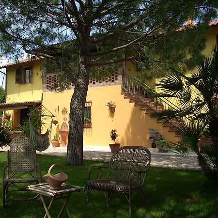 B&B Piceno Castel di Lama Exterior foto
